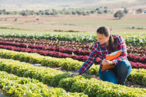 A female grower in a plaid shirt holding a clipboard kneeling in front of a row of greens while inspecting them