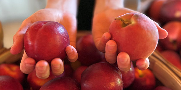 Peaches